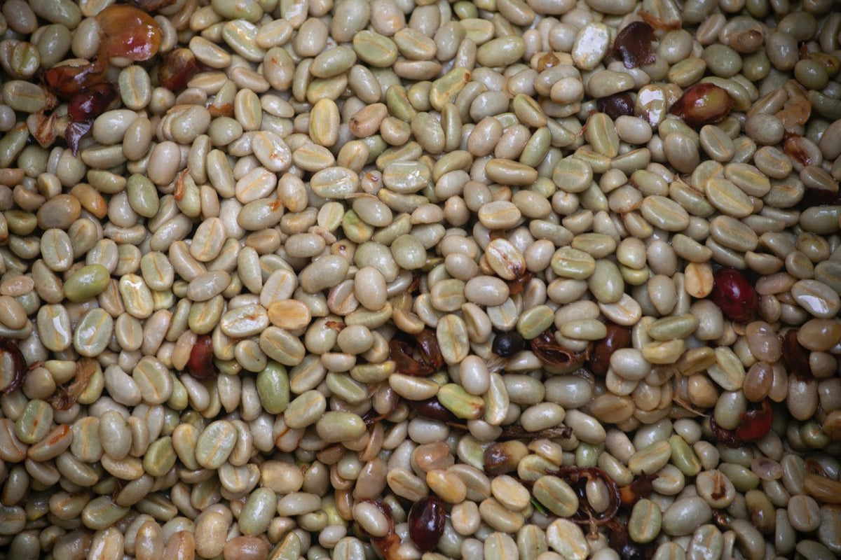 Schoenkaffee - Kolumbien - Finca El Origen Direct Trade / Espresso