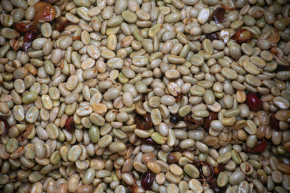 Schoenkaffee - Kolumbien - Finca El Origen Direct Trade / Espresso