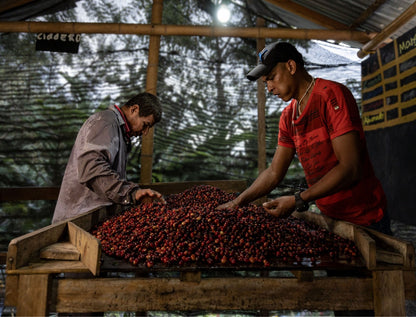 Schoenkaffee - Kolumbien - Finca El Origen Direct Trade / Espresso