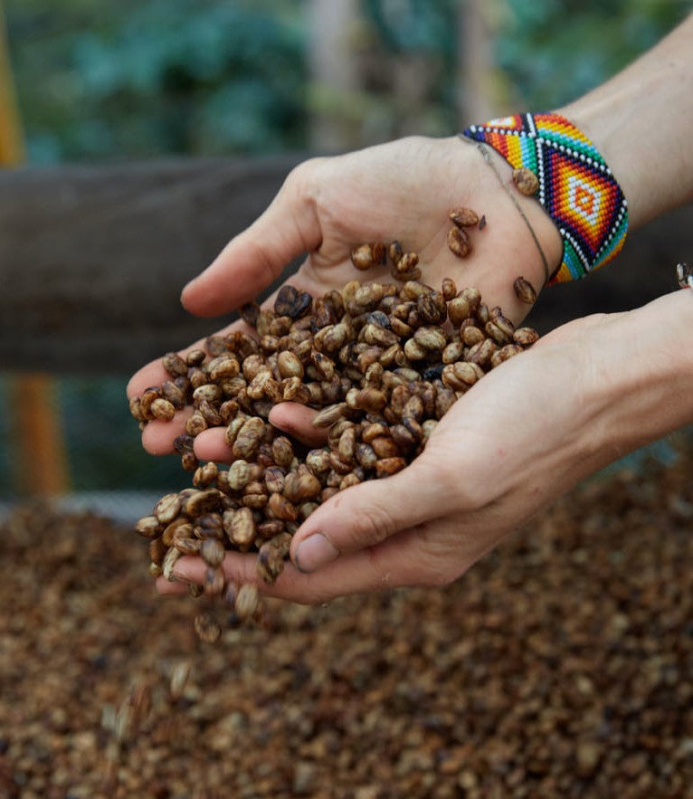 Schoenkaffee - Kolumbien - Finca El Origen Direct Trade / Espresso