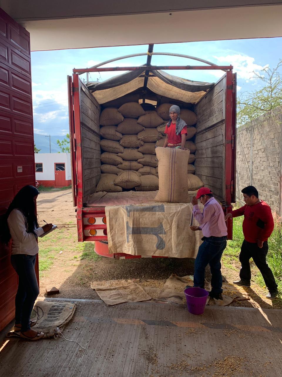 Schoenkaffee - Mexiko - Oaxaca Decaf BIO