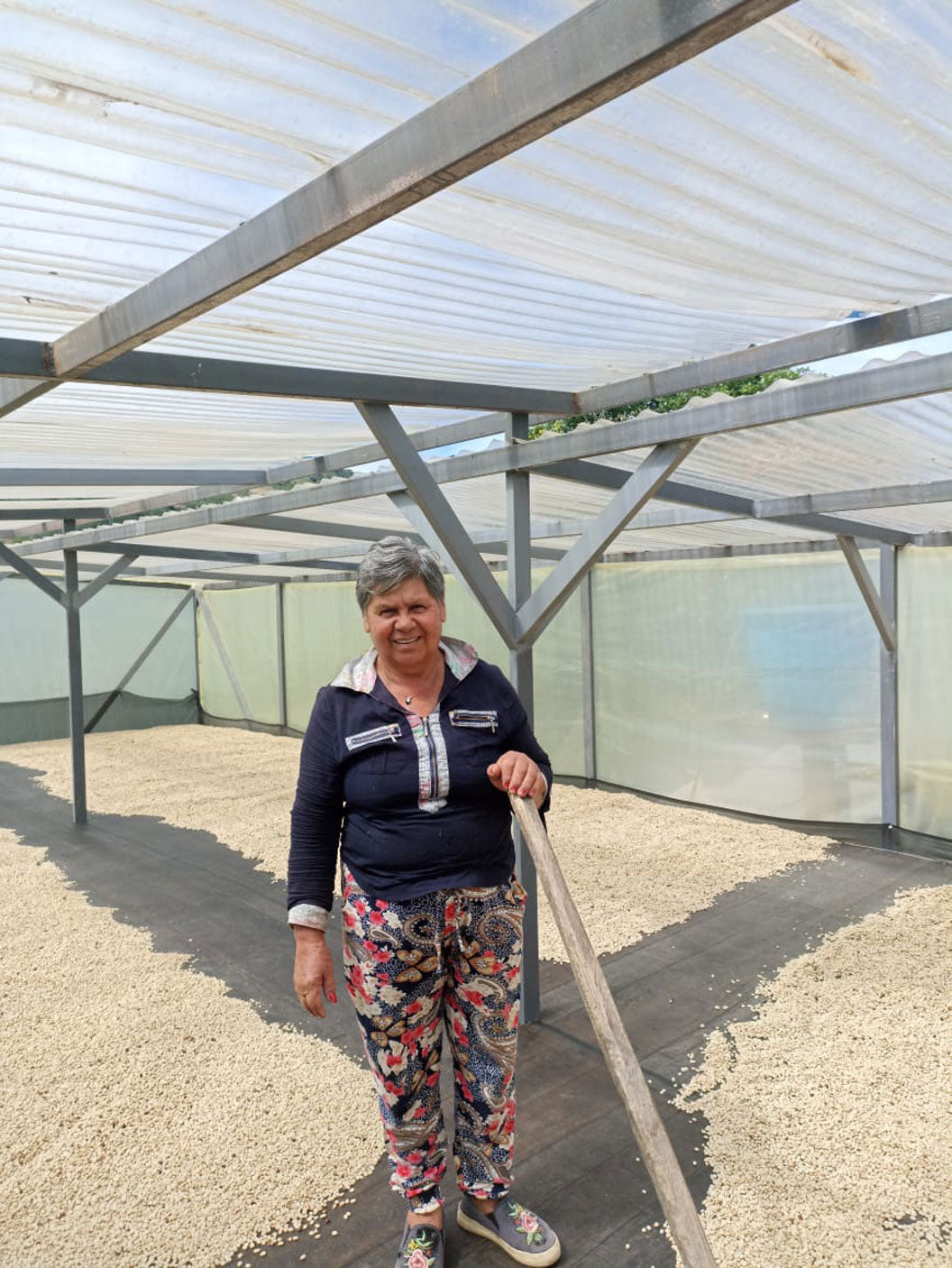 Schoenkaffee - Kolumbien - El Bombo Women BIO / Filterkaffee