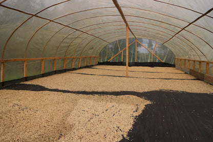 Schoenkaffee - Mujeres Fuertes BIO / Espresso