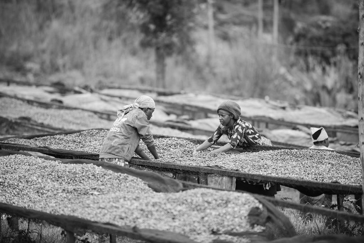 Schoenkaffee - Ruanda - Mbizi Women Coffee BIO / Espresso
