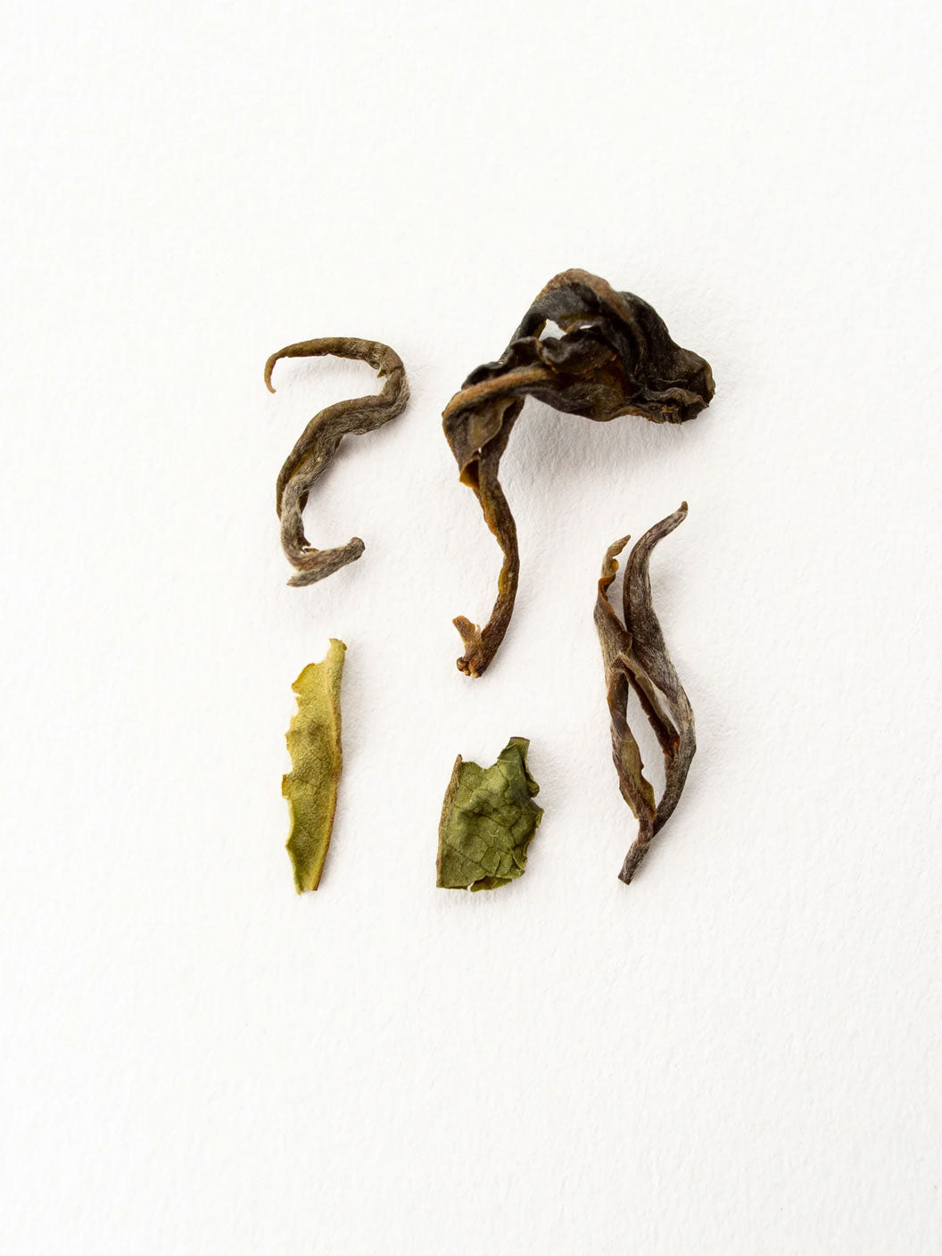 Schoenkaffee - Darjeeling Giddapahar - Schwarzer Tee