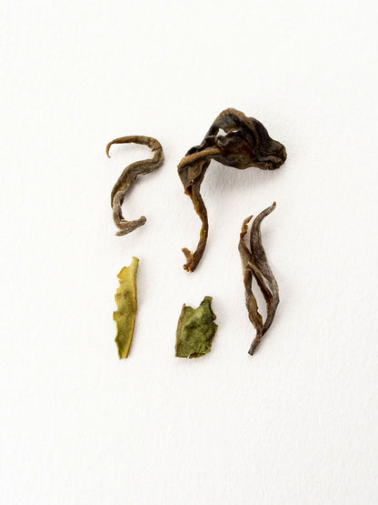 Schoenkaffee - Darjeeling Giddapahar - Schwarzer Tee