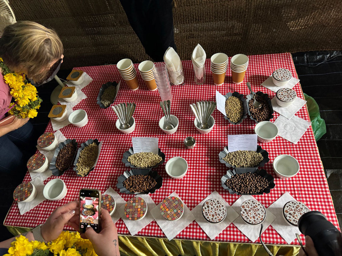 Schoenkaffee - Indien - Plantrich AA BIO / Espresso
