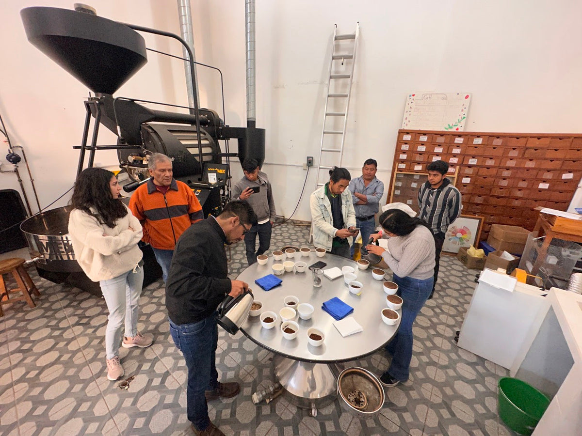 Schoenkaffee - Mexiko - San Cristobal BIO & Direct Trade / Filterkaffee