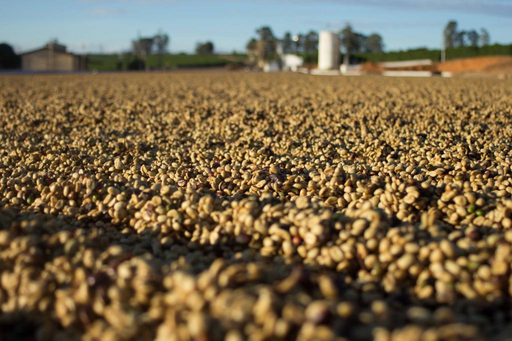 Schoenkaffee - Brasilien - Dolce Cerrado Direct Trade / Espresso
